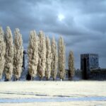 Thumbnail of Panasonic Lumix G10 665nm CW