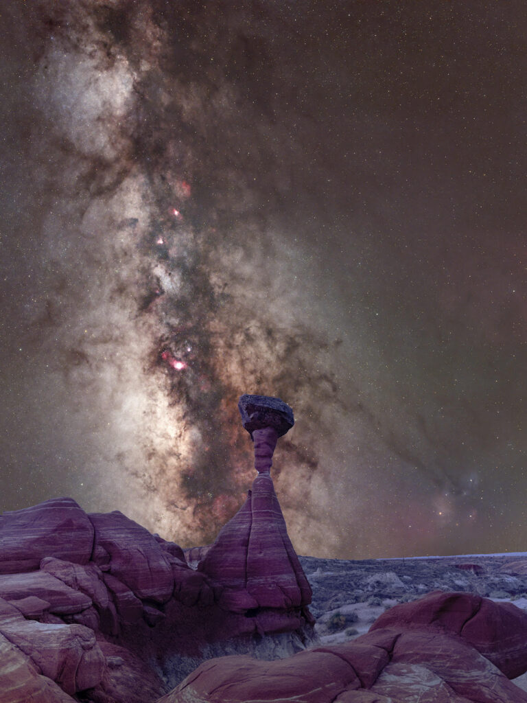 Image name: Toadstool Milkyway, Author name: Paige Dana