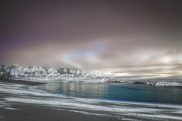 Sony A7 Sony 24 70mm 720nm Standard IR 3 Edit Edit Edit aa506b68 3dc8 43d9 8df6 e42cadb832b1