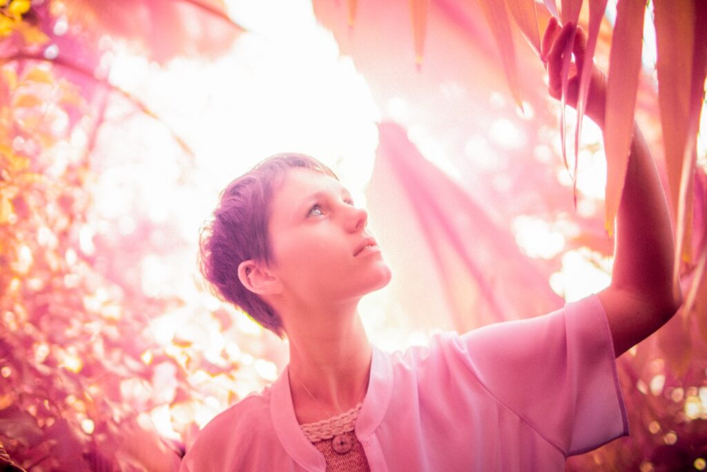 Image name: Tropical Wonderland, Author name: Dave Tree