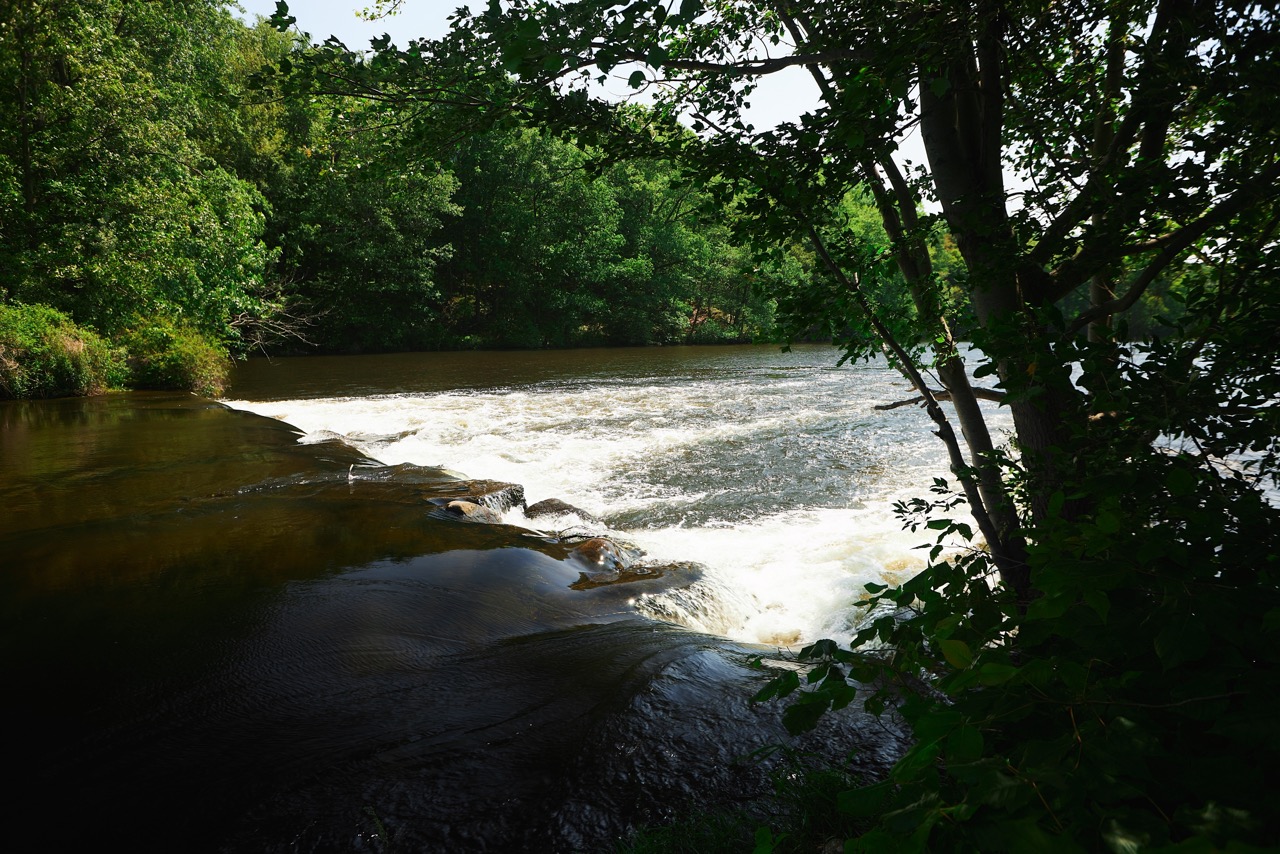 Before image  No Filter