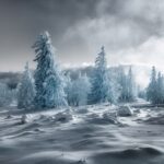 Thumbnail of Image name: Wa1k345, Author name: Jonas Hangartner