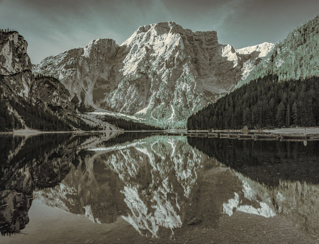 Image name: Wildsee, Author name: Yohan Raintung