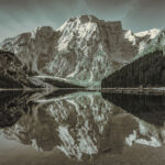 Thumbnail of Image name: Wildsee, Author name: Yohan Raintung