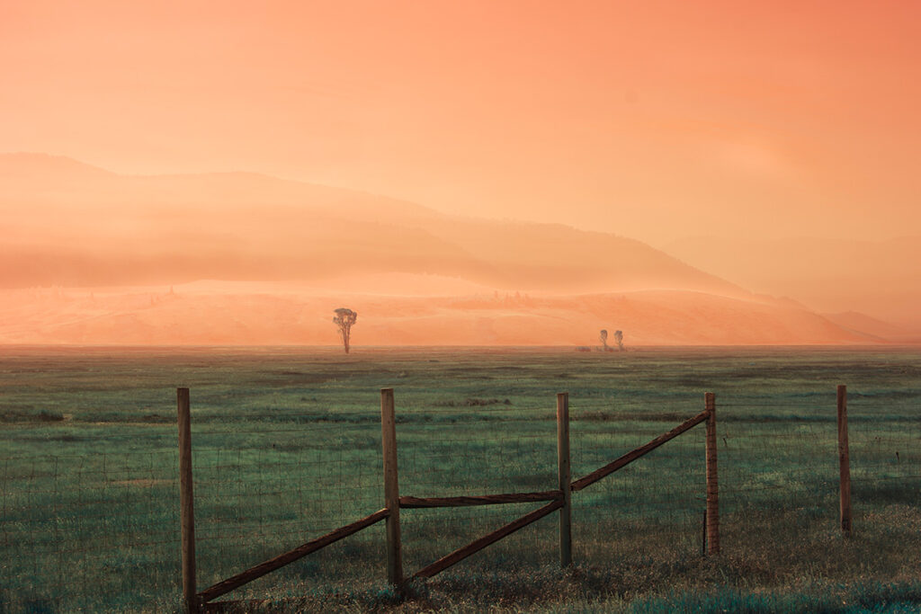 fish550 0fbe5acb b002 401f be16 1e5e440a2757