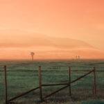 Thumbnail of fish550 0fbe5acb b002 401f be16 1e5e440a2757