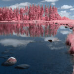 Thumbnail of lut soft pink