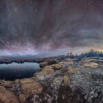 Thumbnail of Figure 5  ZFS3585 3609pano2 27 Large