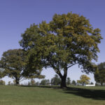 Thumbnail of 0013 Referrence HotMirror Pro 2