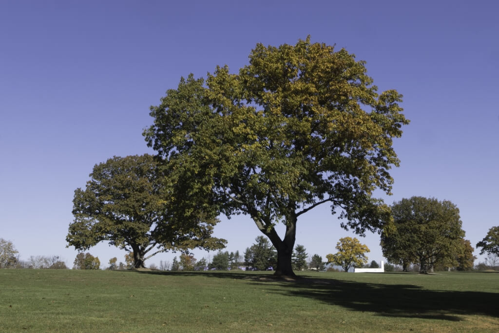 0013 Referrence HotMirror Pro 2