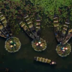 Thumbnail of Collecting The Lilies Shibasish Saha