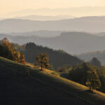 Thumbnail of Rano jutro