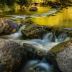 Thumbnail of ND Golden Waters Lynn Wiezycki scaled 1