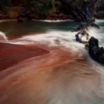 Thumbnail of ND Red Sands Beach David Swainson