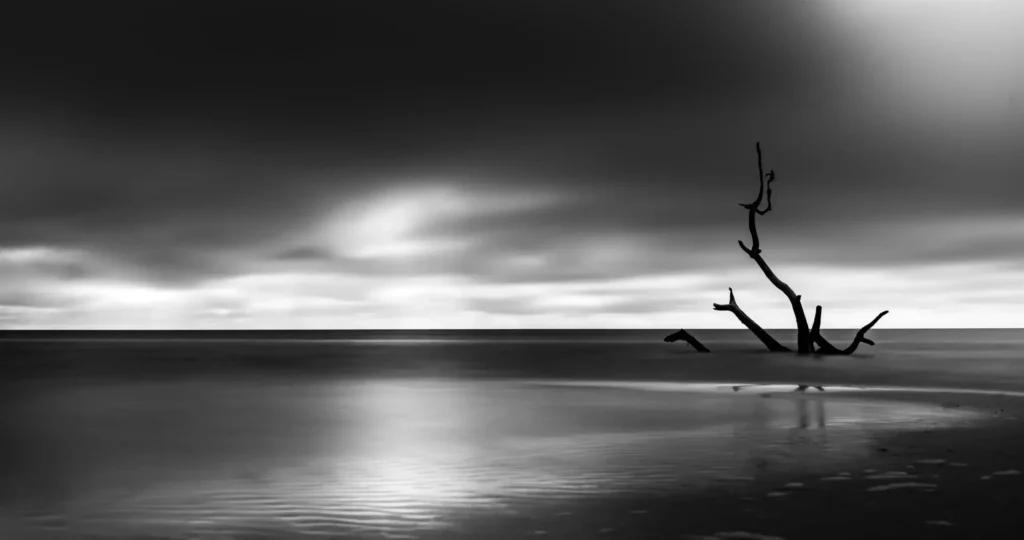 ND The Snag at Mashes Sands Michael Riffe scaled 1