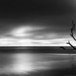 Thumbnail of ND The Snag at Mashes Sands Michael Riffe scaled 1