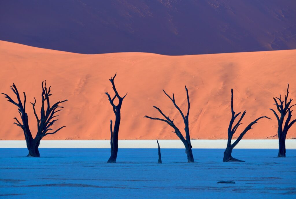 Namibia Sergiy Antonenko