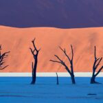 Thumbnail of Namibia Sergiy Antonenko