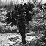 Thumbnail of ULTRAVIOLET ANZA BORREGO AUG25 20182041 FINAL 01